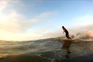 Sandee - Boneyard Beach