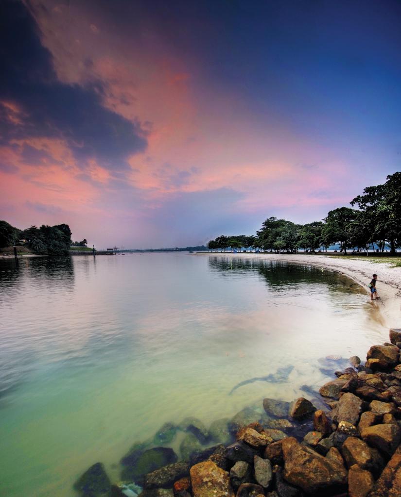 Sandee - Changi Beach Park