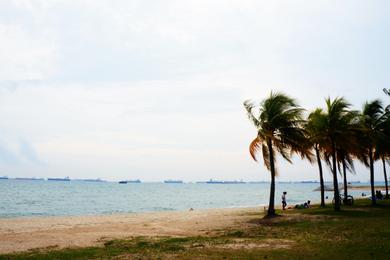 Sandee - East Coast Park Beach