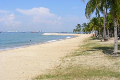 Sandee - East Coast Park Beach