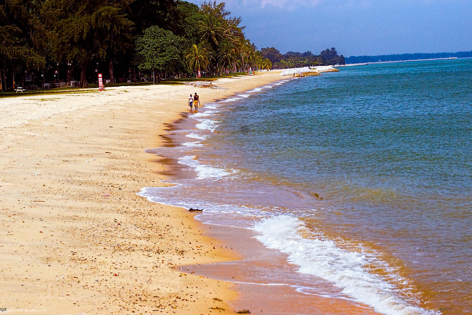 Sandee - East Coast Park Beach