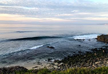 Sandee - Del Mar City Beach