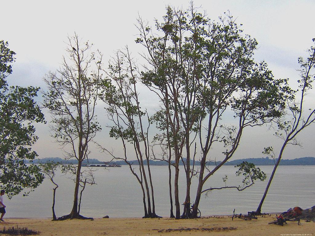 Sandee - Pasir Ris Park