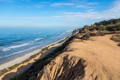 Sandee - Del Mar City Beach