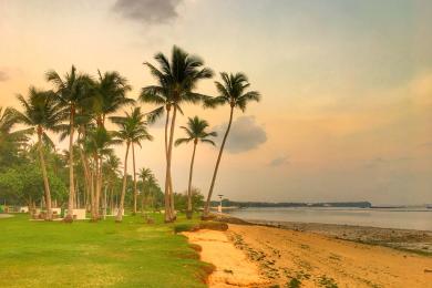 Sandee - Pasir Ris Park