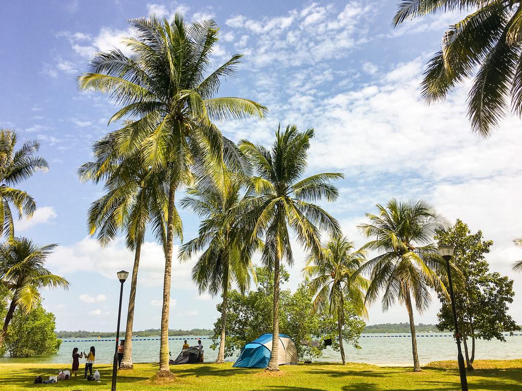 Sandee - Pasir Ris Park