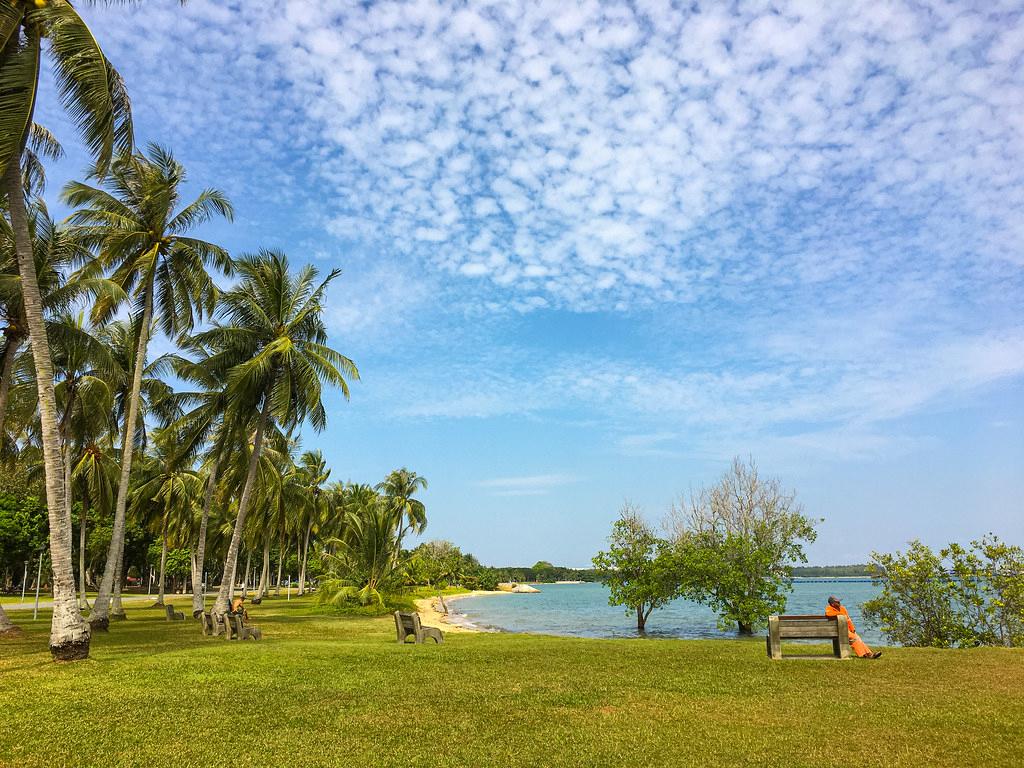 Sandee - Pasir Ris Park