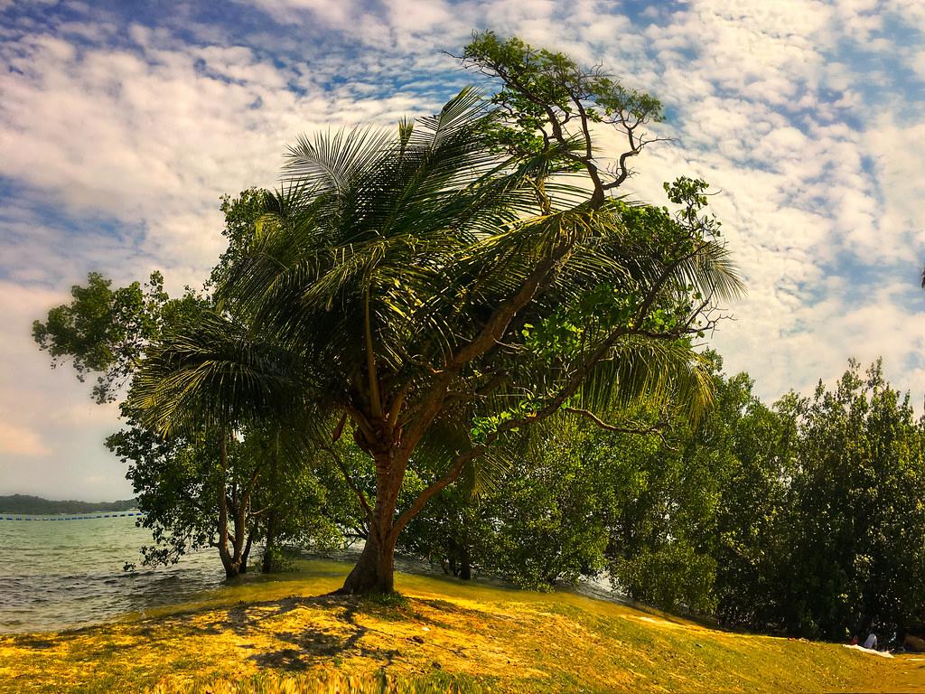 Sandee - Pasir Ris Park