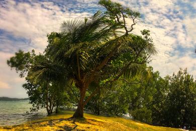 Sandee - Pasir Ris Park