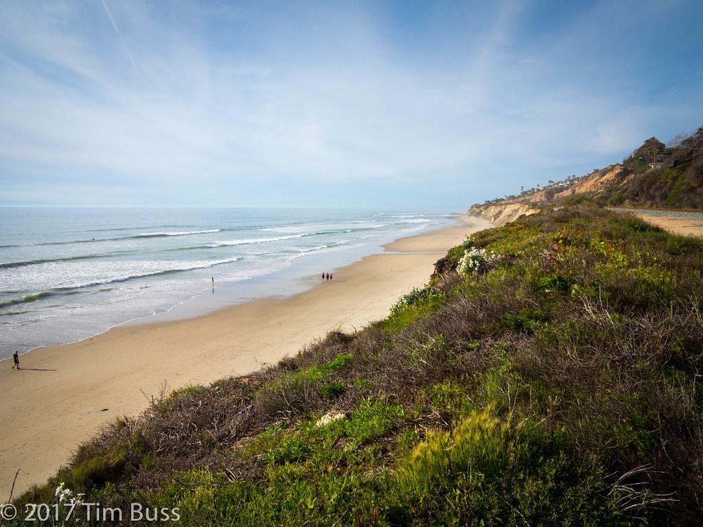 Sandee - Del Mar City Beach