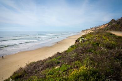 Sandee - Del Mar City Beach