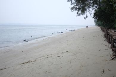 Sandee Pulau Serangoon