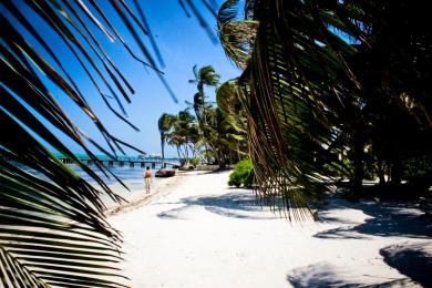 Sandee Bermuda Beach