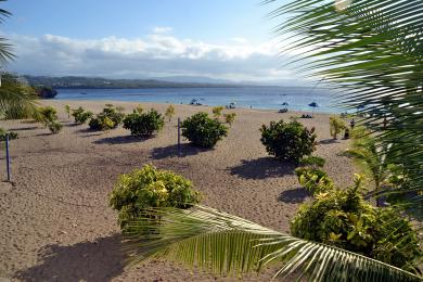 Sandee Playa Alicia