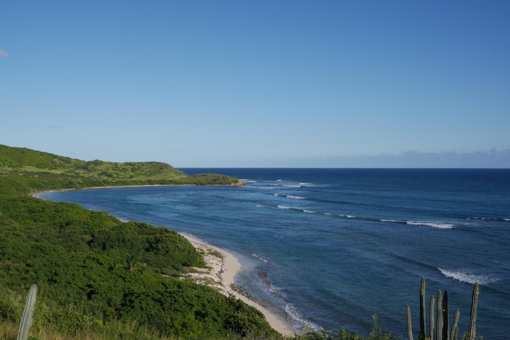 Sandee Jack Bay