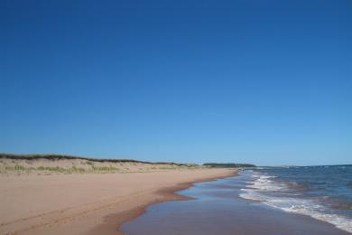 Sandee Basin Head Beach