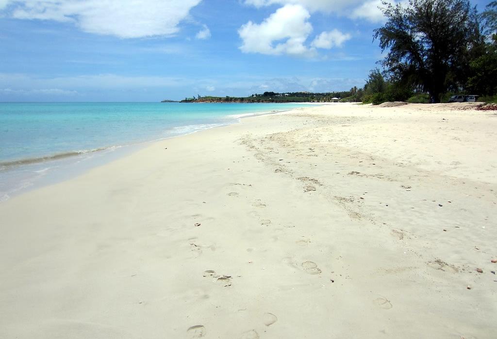 Sandee Fort James Beach