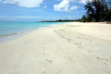 Sandee Fort James Beach Photo