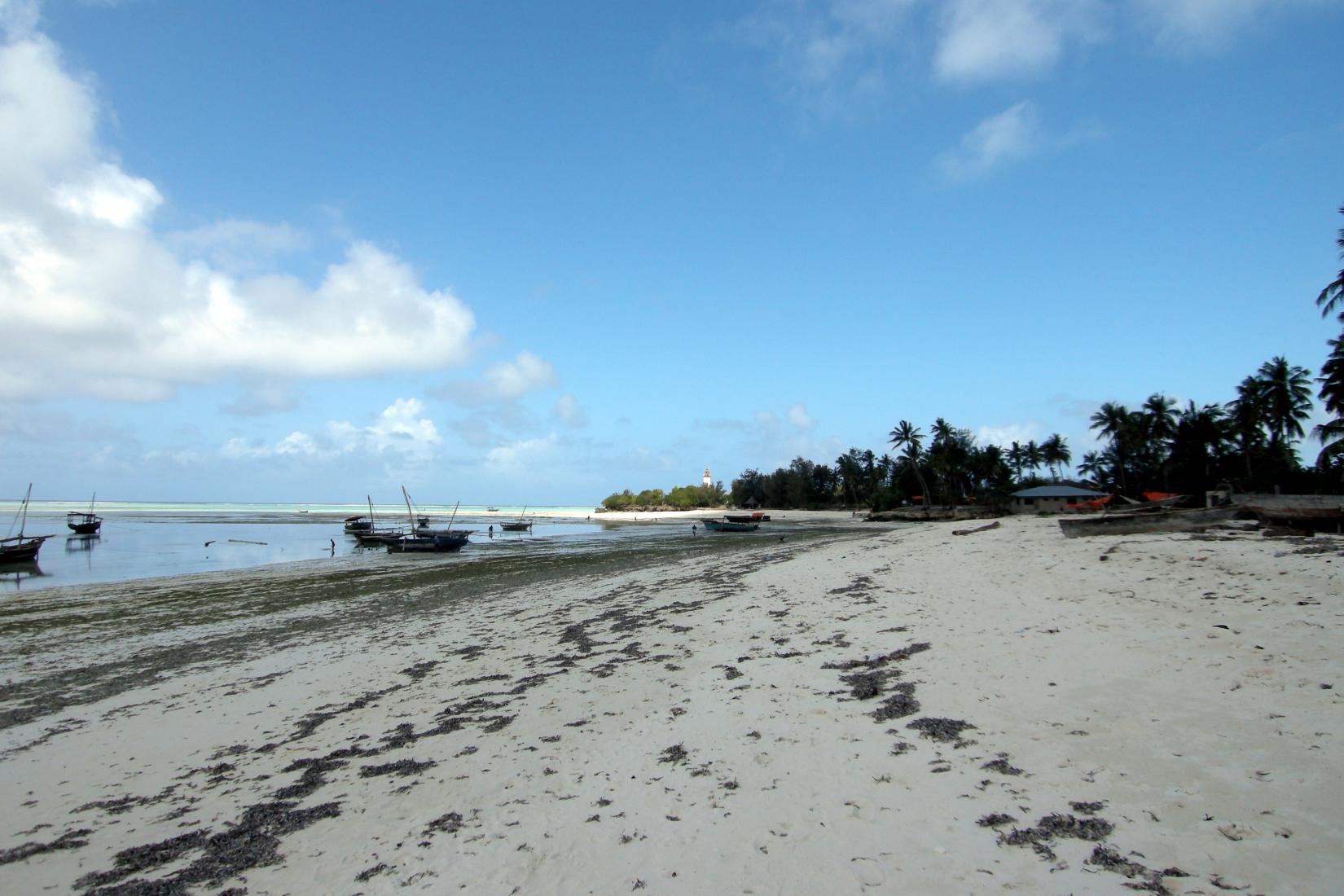 Sandee - Nungwi Beach