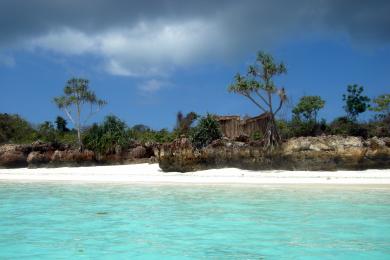 Sandee Nungwi Beach Photo