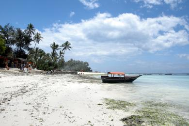 Sandee - Nungwi Beach