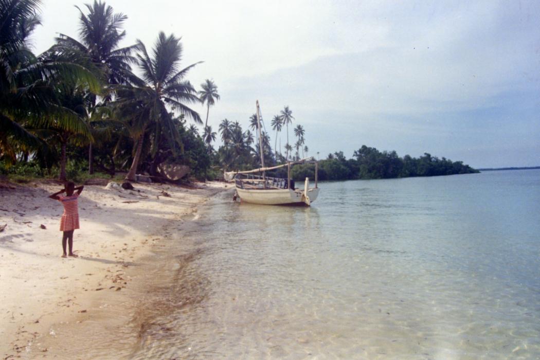 Sandee Mafia Island