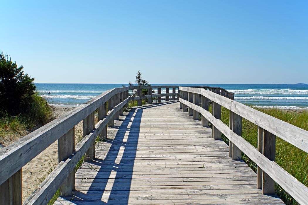 Sandee Clam Harbour Beach