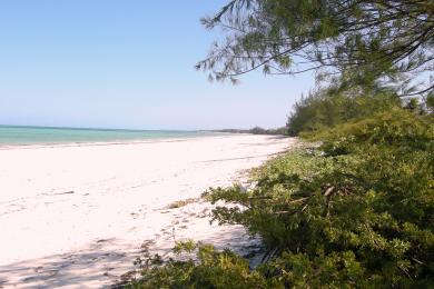 Sandee Paje Beach