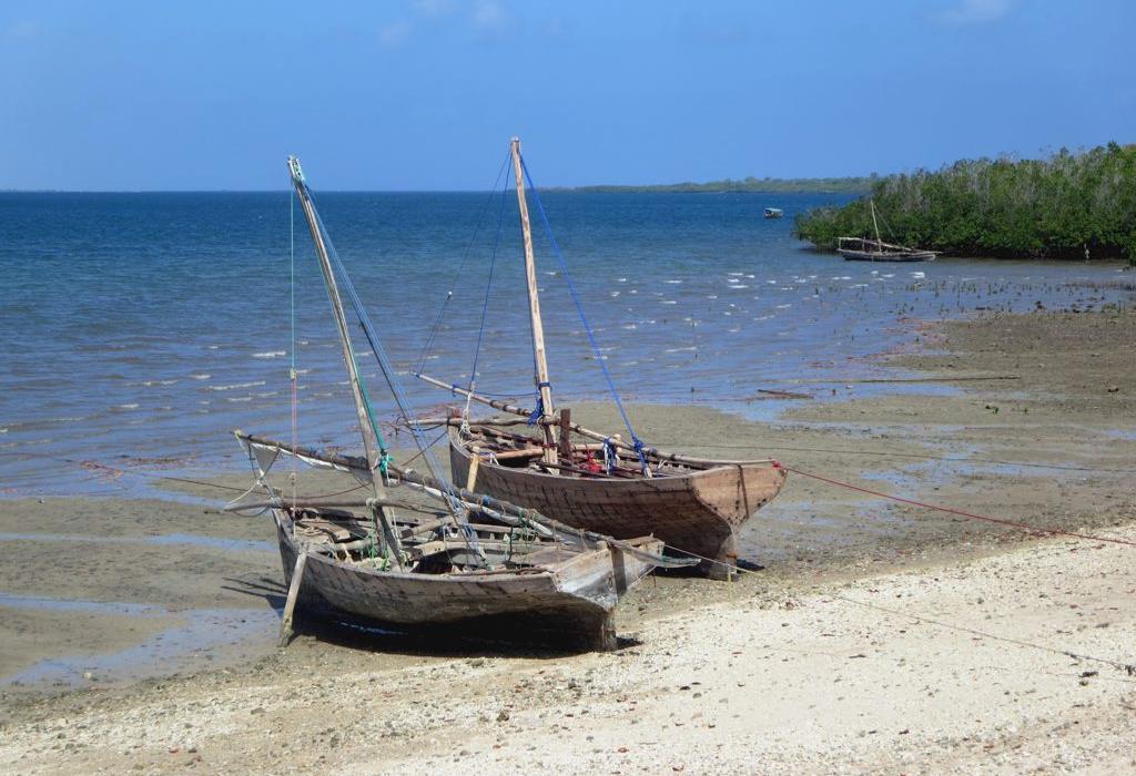 Sandee Jimbizi Beach Photo