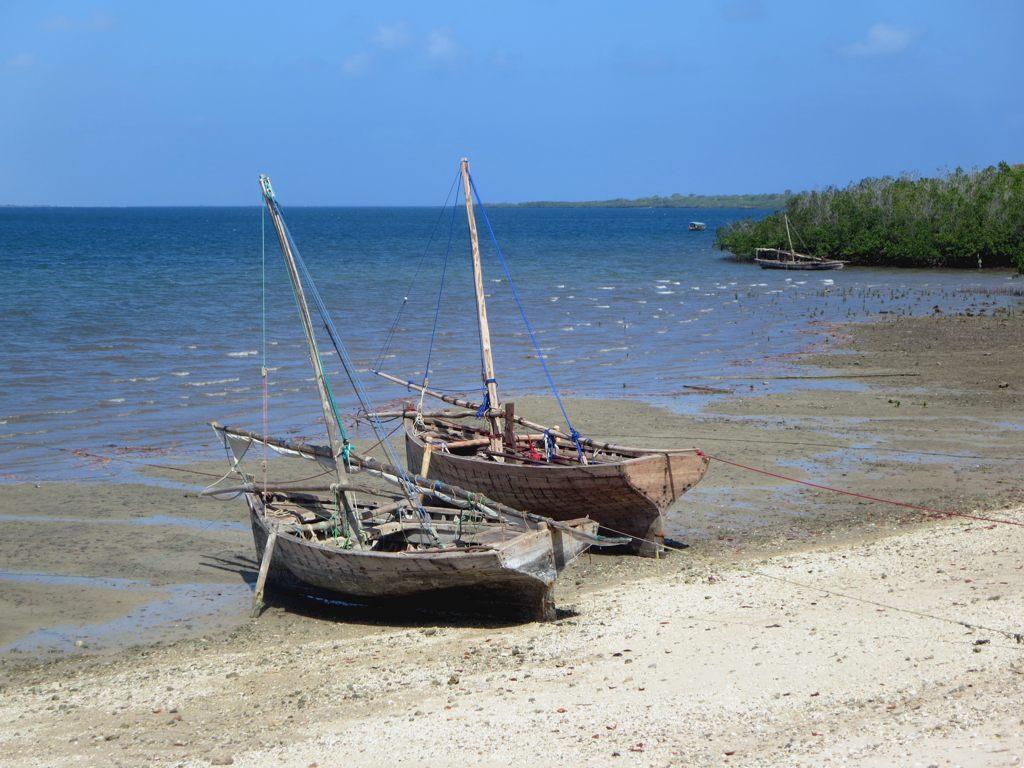 Sandee - Jimbizi Beach