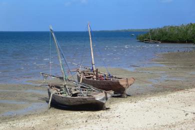 Sandee - Jimbizi Beach