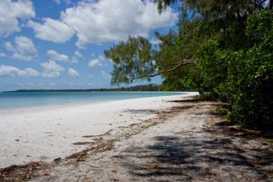 Sandee Pemba Island Photo