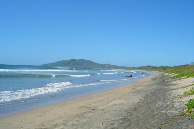Sandee Grande