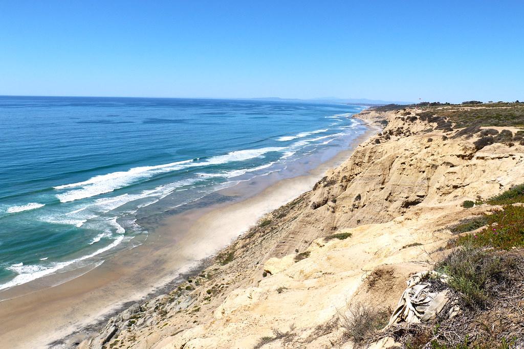 Sandee - Torrey Pines State Beach