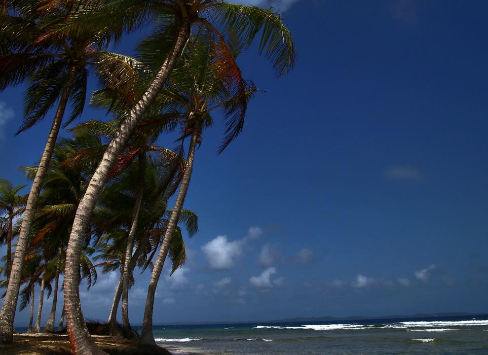 Sandee Aguja Island
