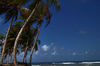 Sandee Aguja Island
