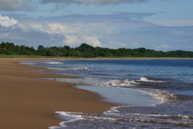 Sandee Playa El Arenal Photo