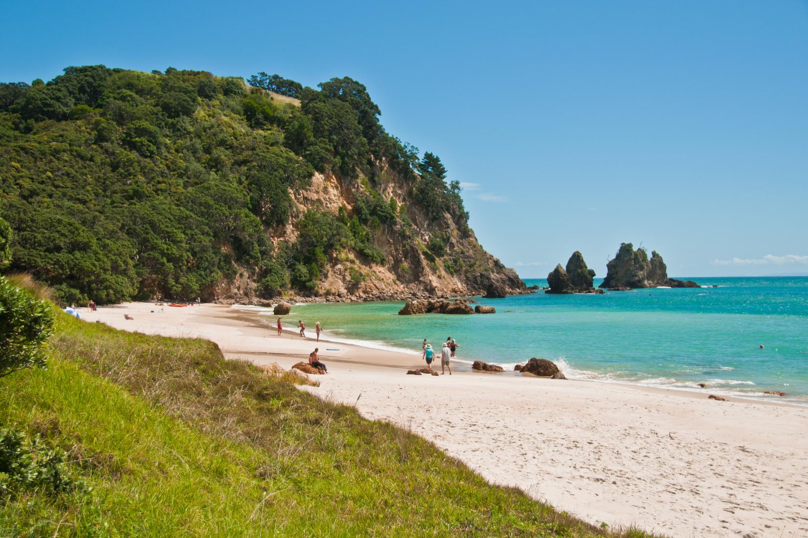 Sandee - Kuaotunu Beach