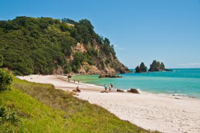 Sandee Kuaotunu Beach Photo