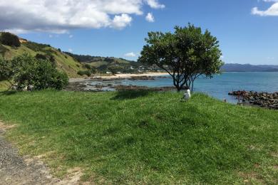 Sandee - Kuaotunu Beach