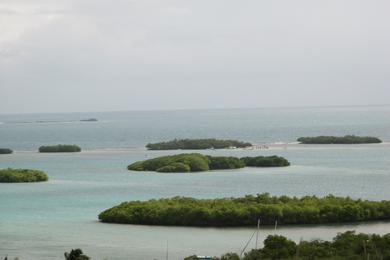 Sandee La Parguera Beach Photo