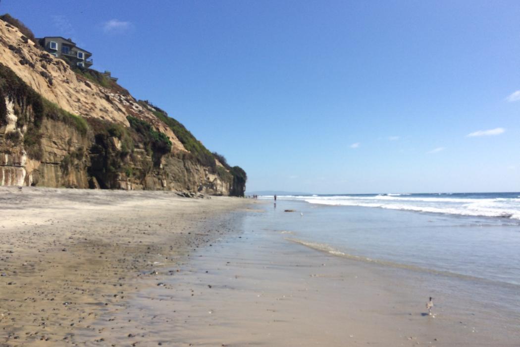 Sandee Cardiff State Beach - Seaside Beach Photo