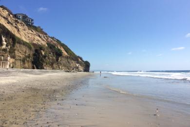Sandee Cardiff State Beach - Seaside Beach