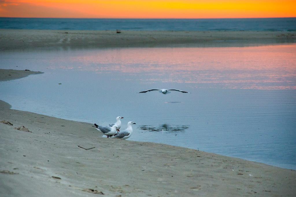 Sandee - West Beach