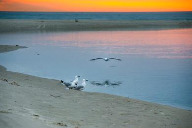 Sandee - West Beach