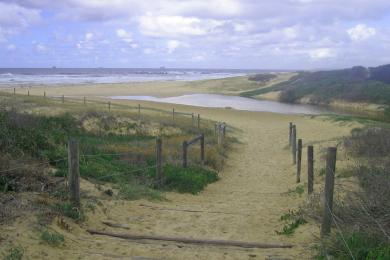 Sandee - Redhead Beach