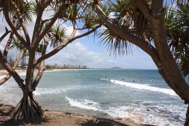 Sandee Pandanus Beach