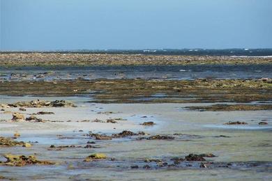 Sandee Racecourse Bay Photo