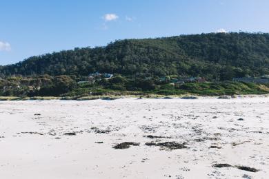 Sandee Redbill Beach