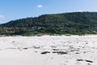 Sandee Redbill Beach Photo